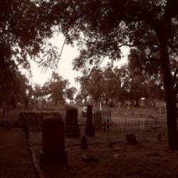 Anthems Of Gomorrah : A Deplorable Request